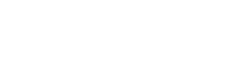 Bridger Logo White